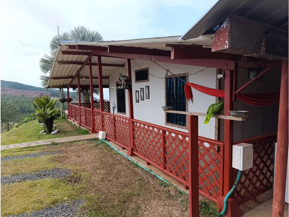 Vendo finca en montañitas la cumbre Yumbo 3200 m² tiene fibra optica - 2