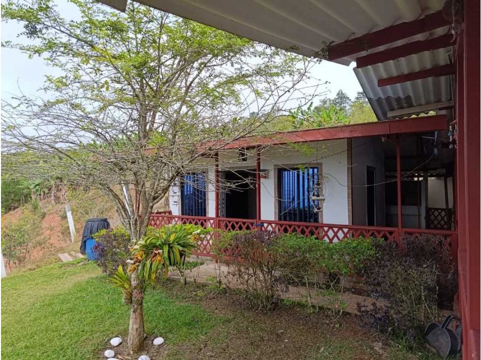 Vendo finca en montañitas la cumbre Yumbo 3200 m² tiene fibra optica - 6
