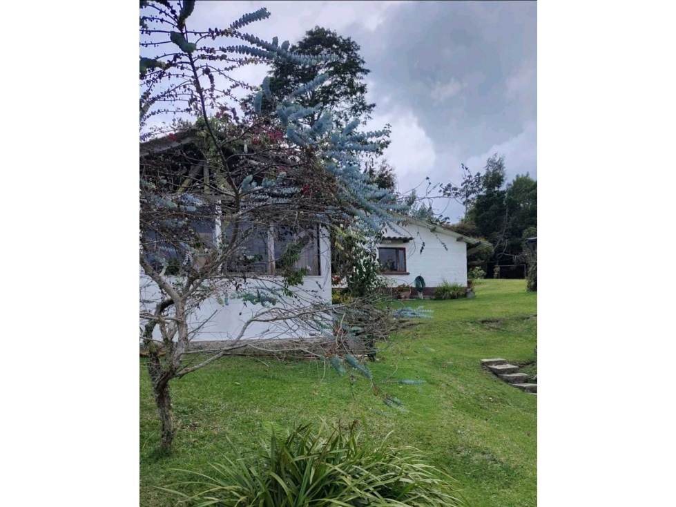 VENDO FINCA EN SANTA ELENA — foto 3