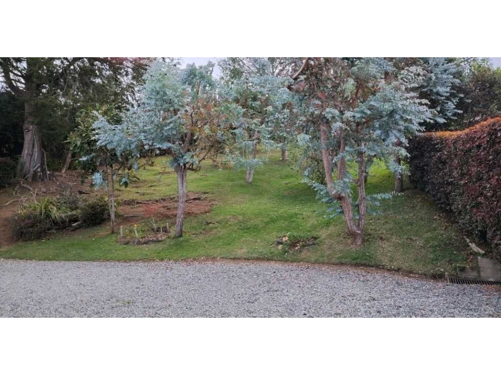 VENDO FINCA EN SANTA ELENA — foto 6