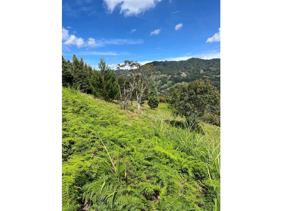VENDO FINCA EN RIONEGRO$3MIL MM, AREA 10 MIL MT2 SECTOR SAJONIA — foto 5