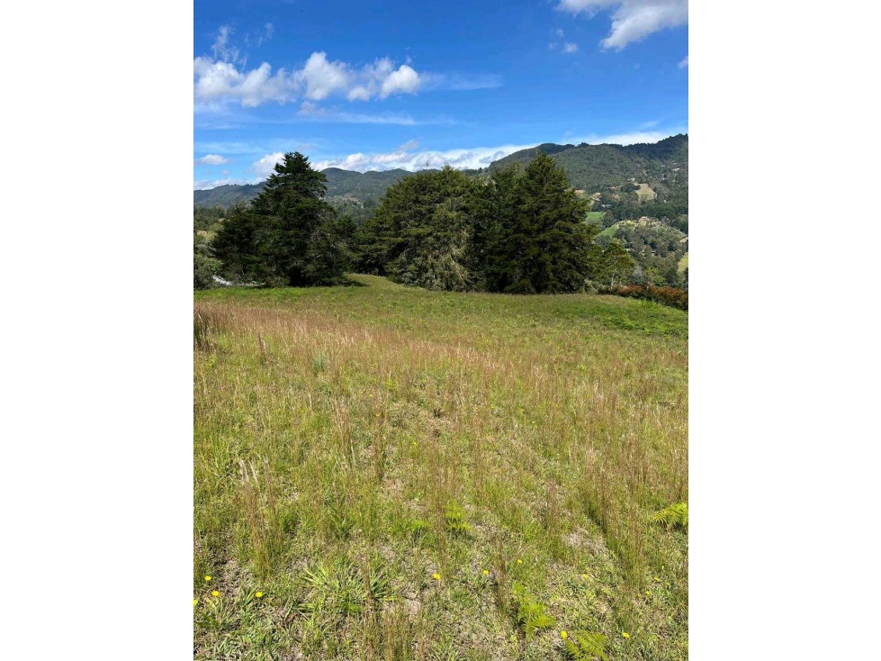 VENDO FINCA EN RIONEGRO$3MIL MM, AREA 10 MIL MT2 SECTOR SAJONIA — foto 6