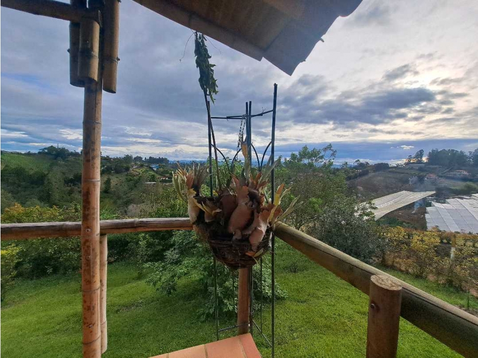 VENDO FINCA EN RIONEGRO ANTIOQUIA — foto 5