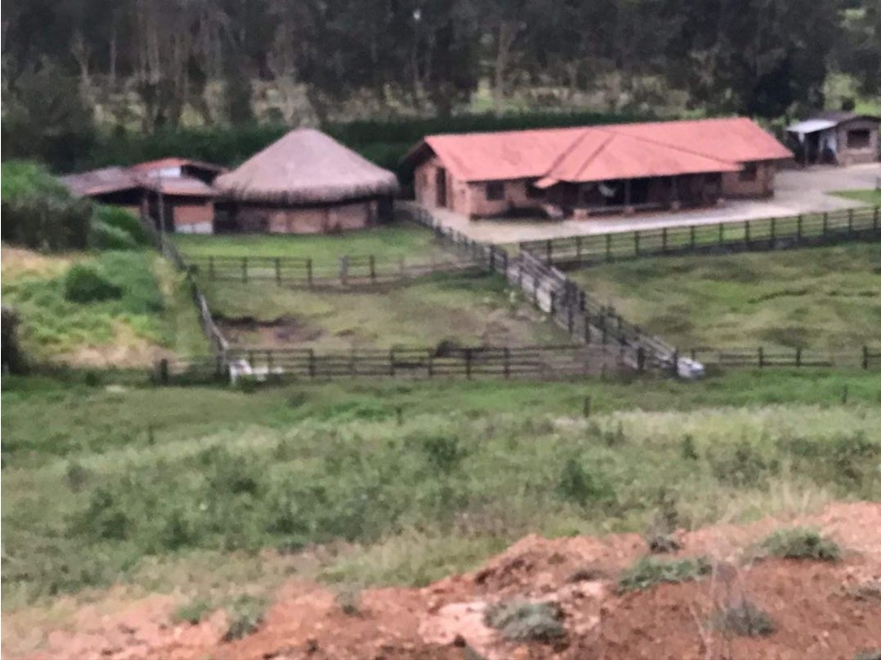 VENDO FINCA EN RIONEGRO VEREDA EL TABLAZO — foto 5