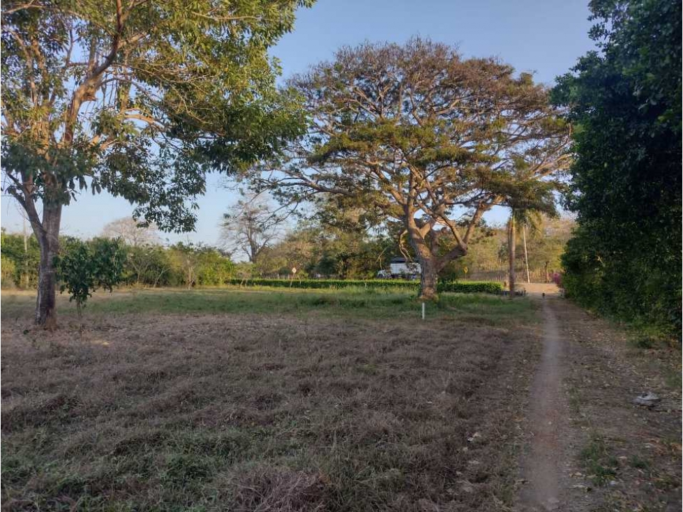 VENDO FINCA EN SAN BERNARDO DEL VIENTO CORDOBA - 4