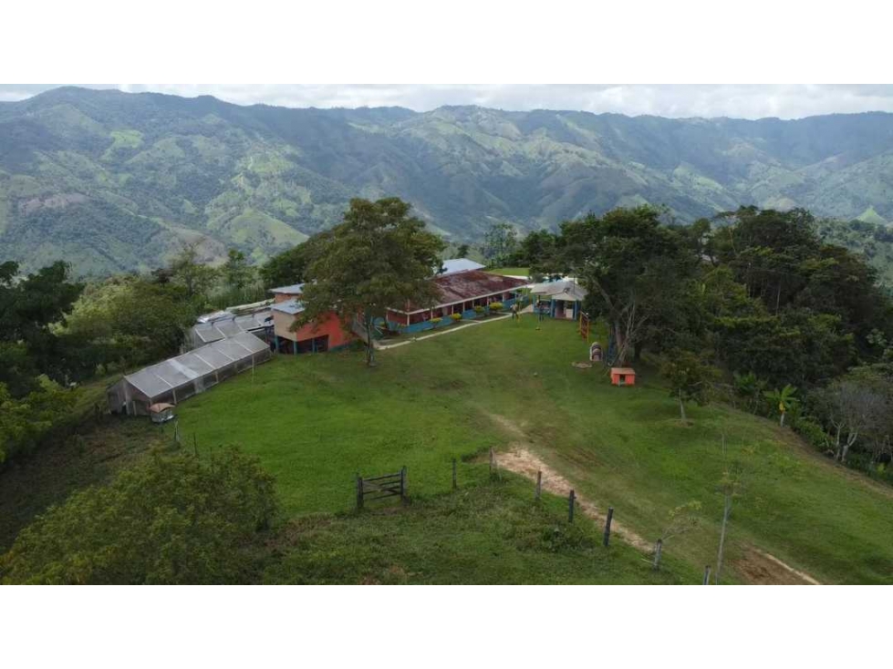 VENDO FINCA EN SAN ROQUE ANTIOQUIA. - 6