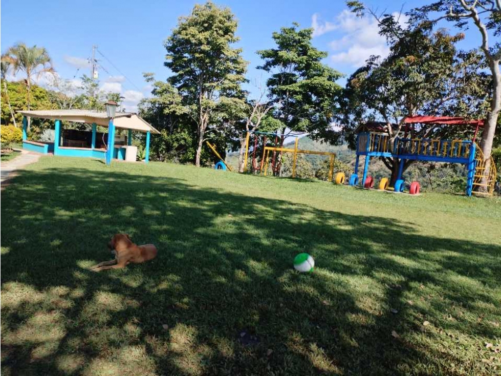 VENDO FINCA EN SAN ROQUE ANTIOQUIA. - 2