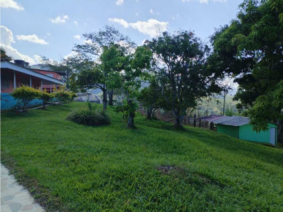 VENDO FINCA EN SAN ROQUE ANTIOQUIA. - 3