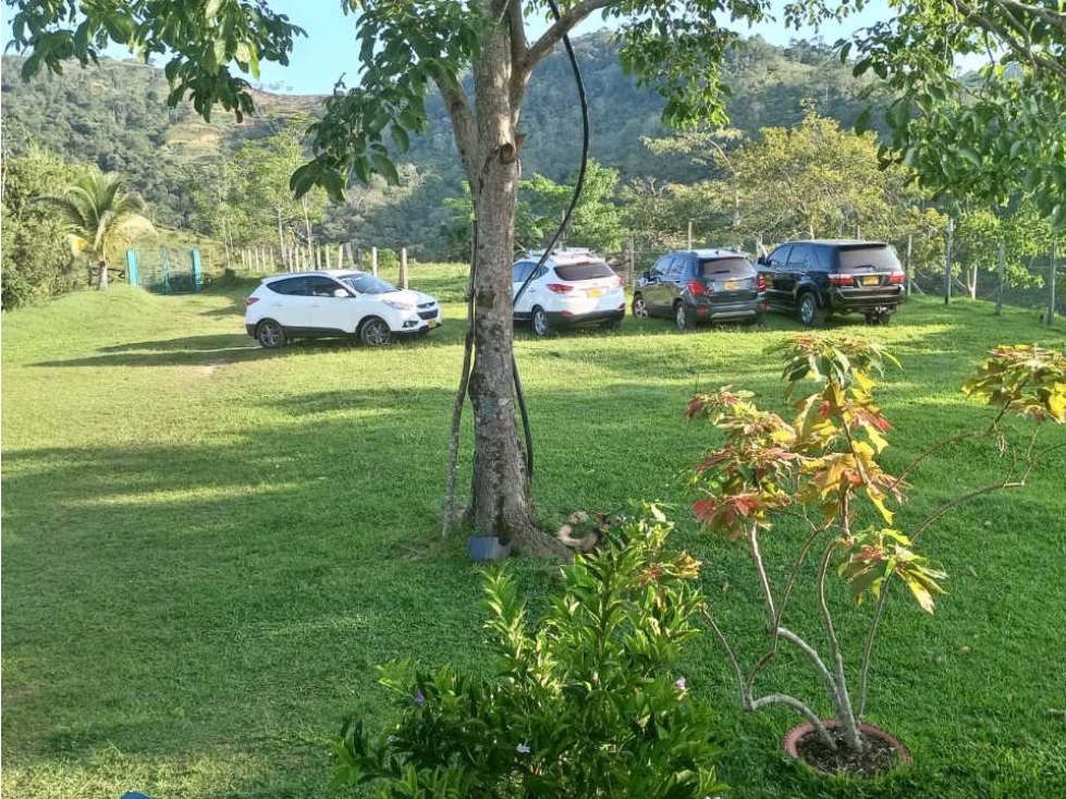 VENDO FINCA EN SAN ROQUE ANTIOQUIA. - 4