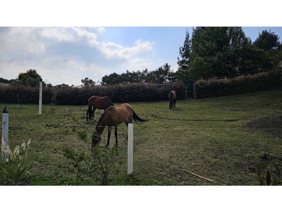VENDO FINCA EN SUBACHOQUE A PUERTA CERRADA (IC) - 4