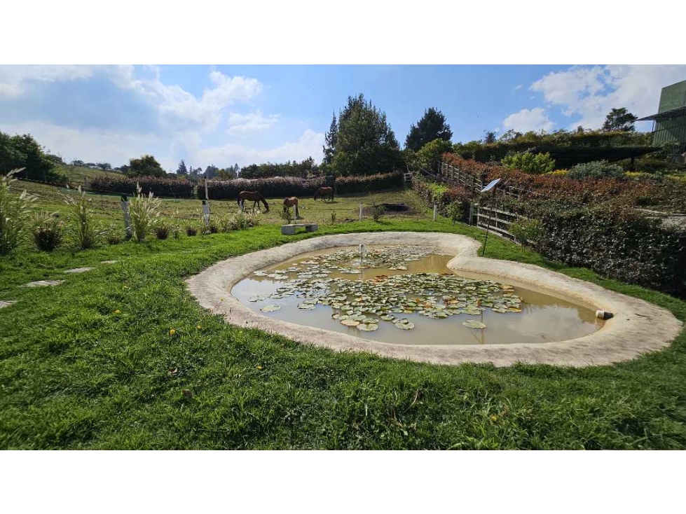 VENDO FINCA EN SUBACHOQUE A PUERTA CERRADA (IC) - 6