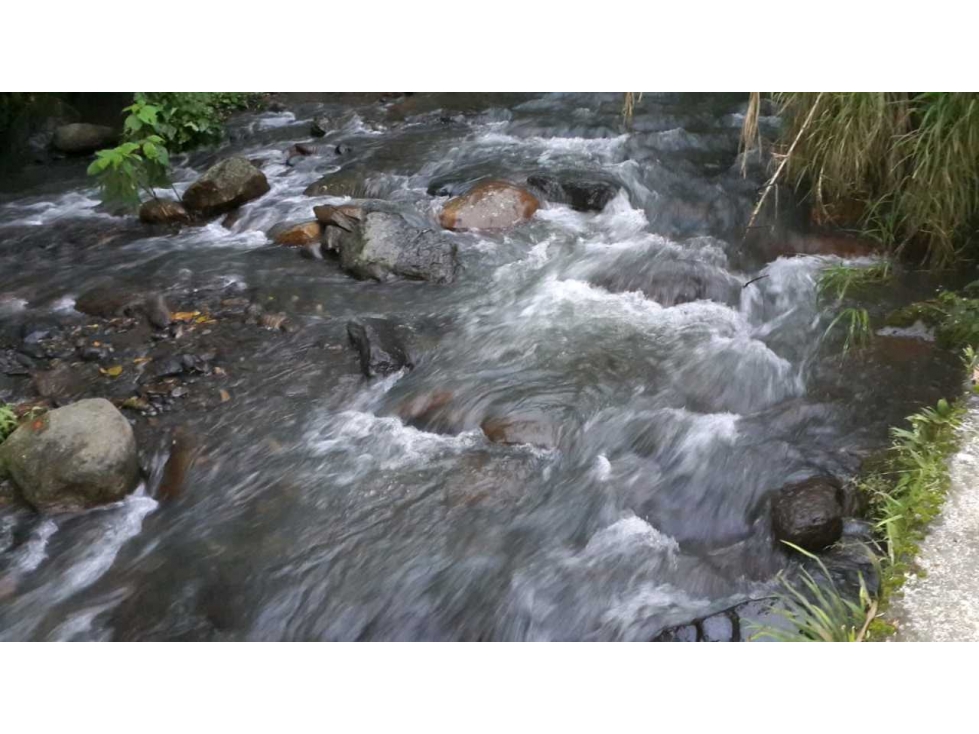 Vendo Finca GRANJA La VEGA CUNDINAMARCA — foto 3