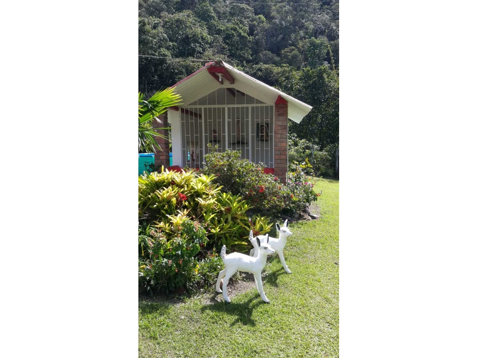 Vendo Finca GRANJA La VEGA CUNDINAMARCA — foto 4