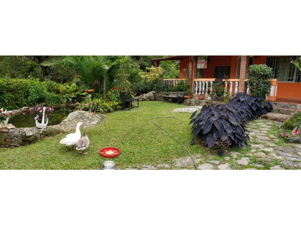 Vendo Finca GRANJA La VEGA CUNDINAMARCA — foto 5