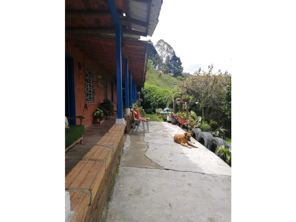 CASA FINCA EN GUARNE ANTIOQUIA EN VENTA UBICACION ESTRATEGICA