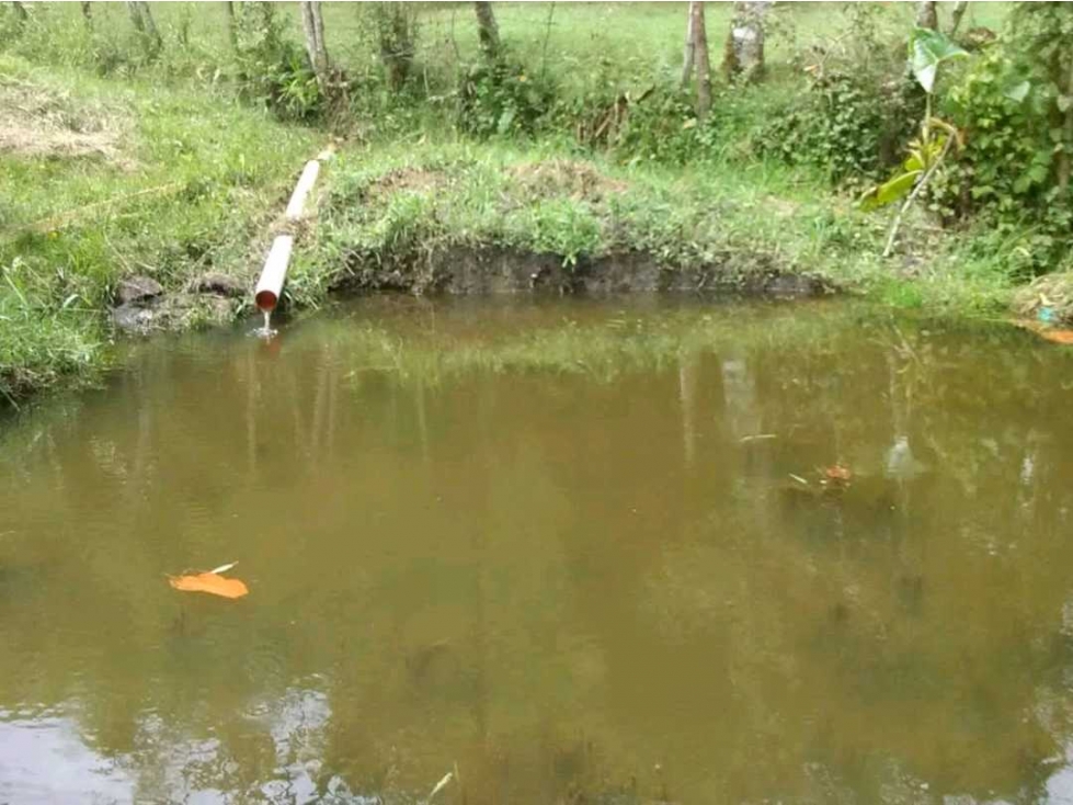 CASA FINCA EN GUARNE ANTIOQUIA EN VENTA UBICACION ESTRATEGICA — foto 4