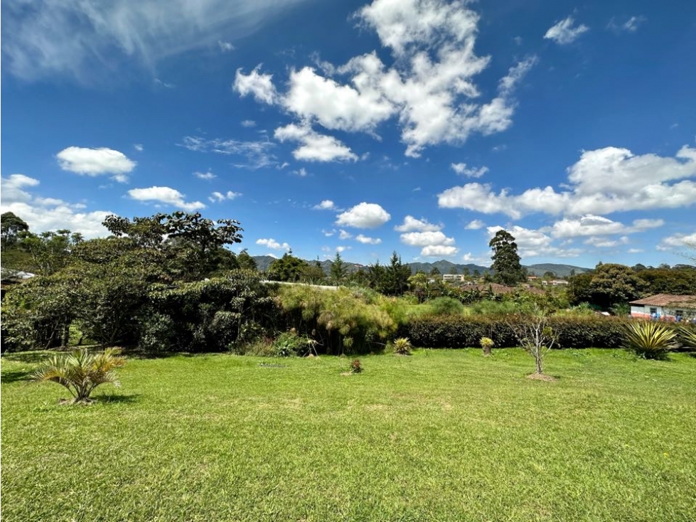 VENDO FINCA INDEPENDIENTE UN SOLO NIVEL LA CEJA, ZONA VERDE MUY AMPLIA — foto 2