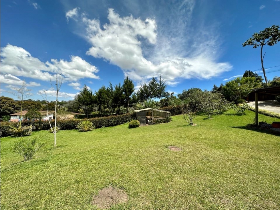 VENDO FINCA INDEPENDIENTE UN SOLO NIVEL LA CEJA, ZONA VERDE MUY AMPLIA — foto 3
