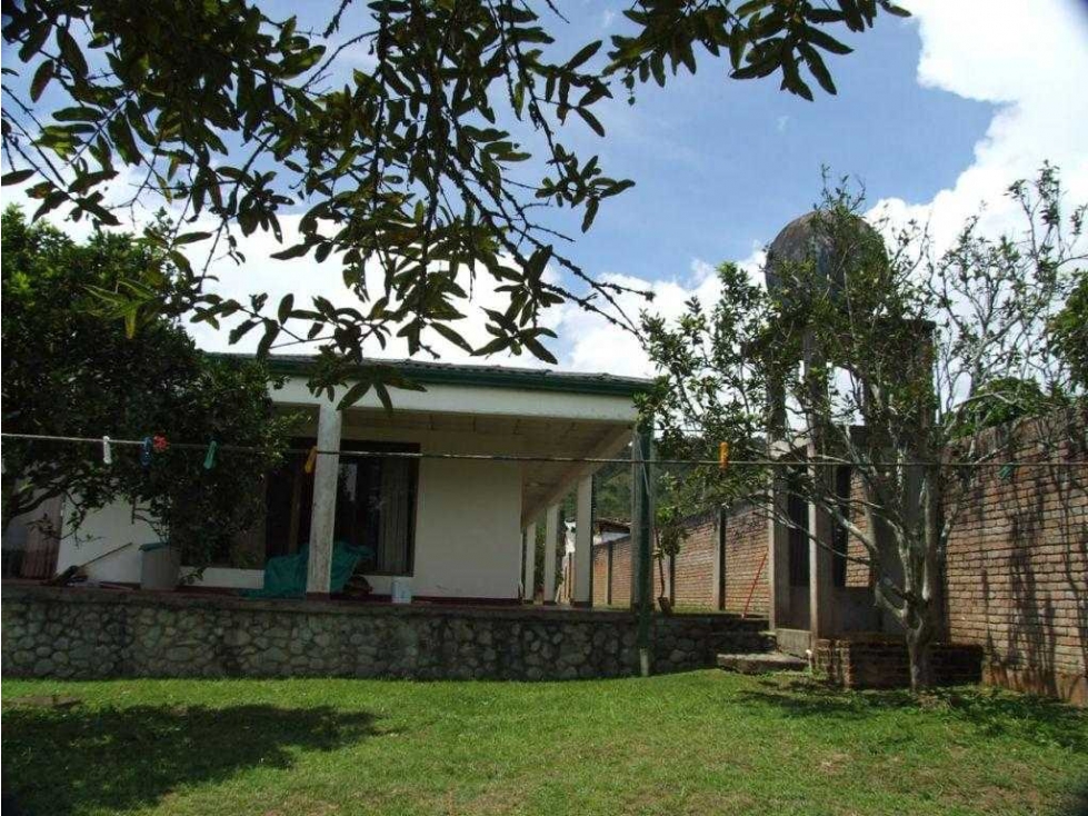 Vendo finca Km30 Queremal - 3