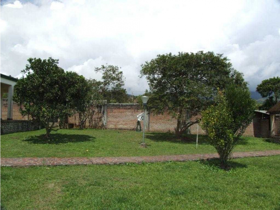 Vendo finca Km30 Queremal - 4