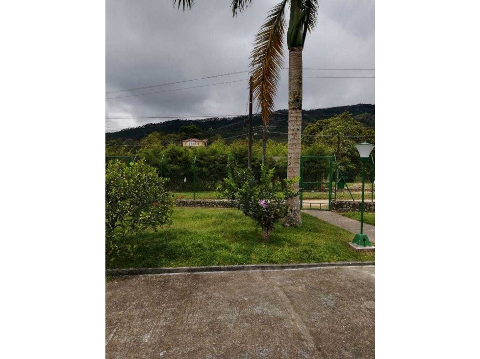 Vendo finca Km30 Queremal - 5