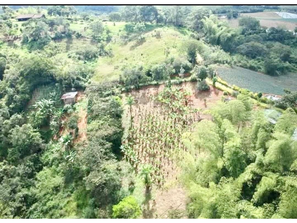 Vendo finca Km 34 Dagua vía al Queremal vz 9091439 — foto 6