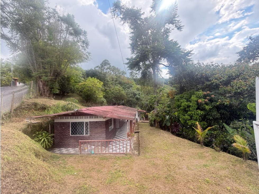 VENDO FINCA LA VEGA - C/MARCA — foto 3