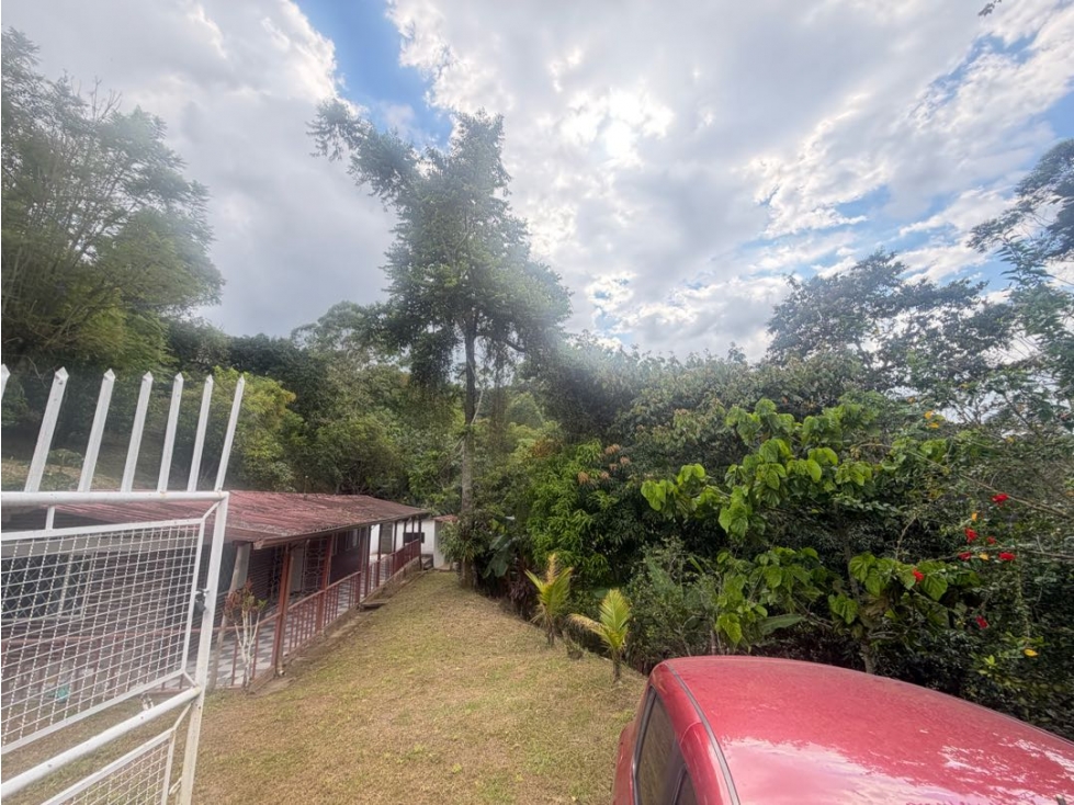 VENDO FINCA LA VEGA - C/MARCA — foto 4