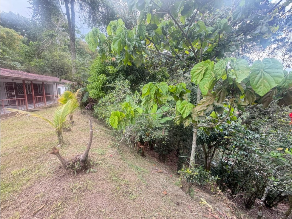 VENDO FINCA LA VEGA - C/MARCA — foto 6