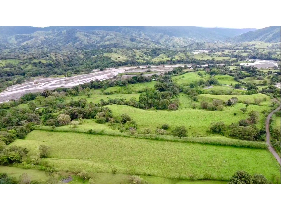 VENDO FINCA PRODUCTIVA EN VERAGUAS - 2