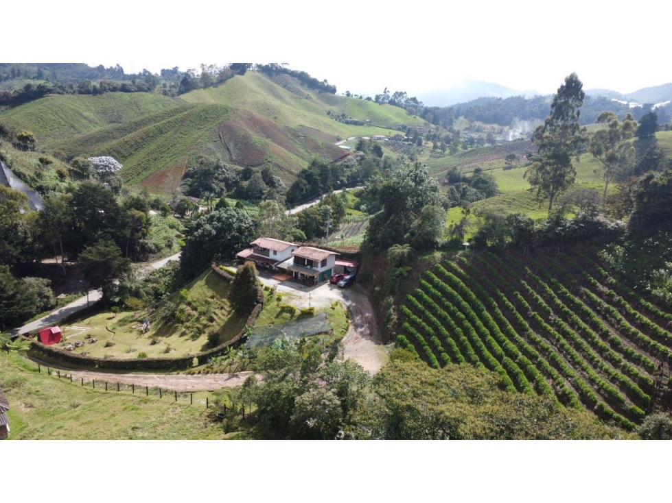 VENDO FINCA PRODUCTIVA EN LA CEJA- CORREGIMIENTO SAN JOSÉ — foto 2