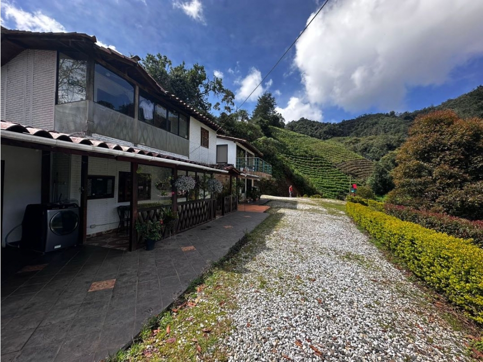 VENDO FINCA PRODUCTIVA EN LA CEJA- CORREGIMIENTO SAN JOSÉ — foto 4