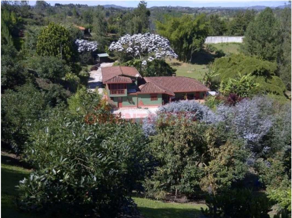 Vendo finca Rionegro sector el Carmin 2.8 H.A