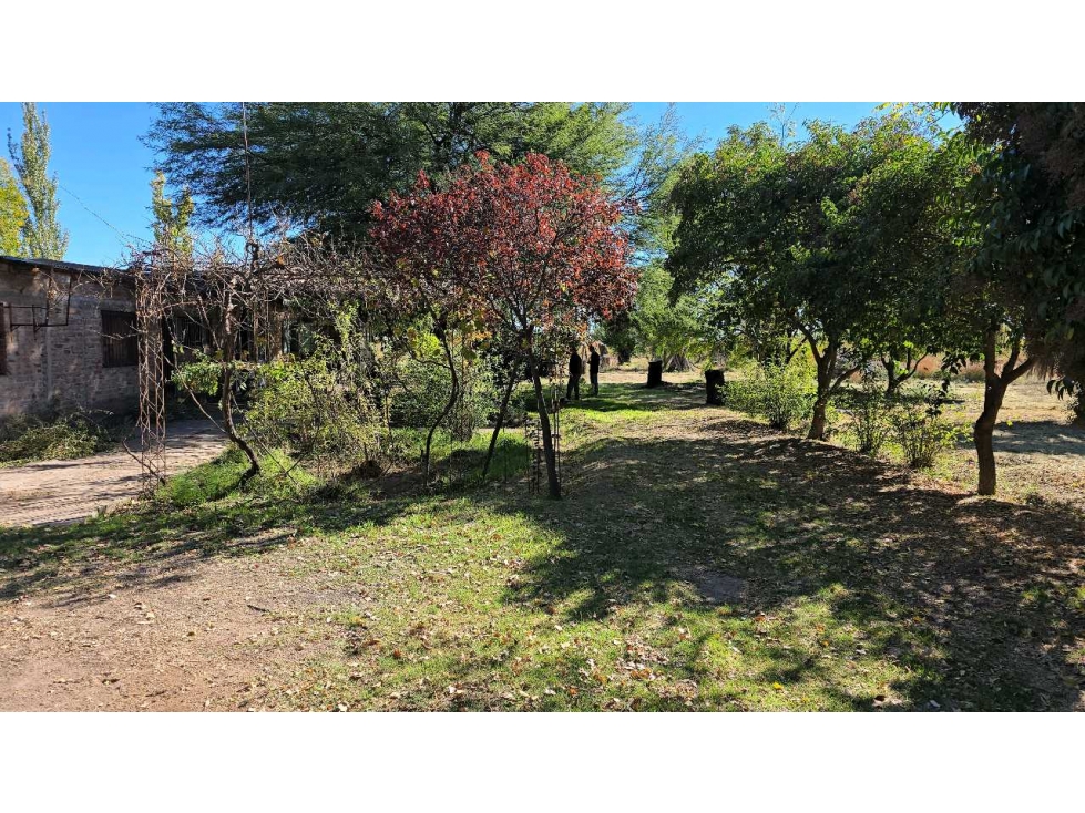 VENDO FINCA SAN RAFAEL - 6