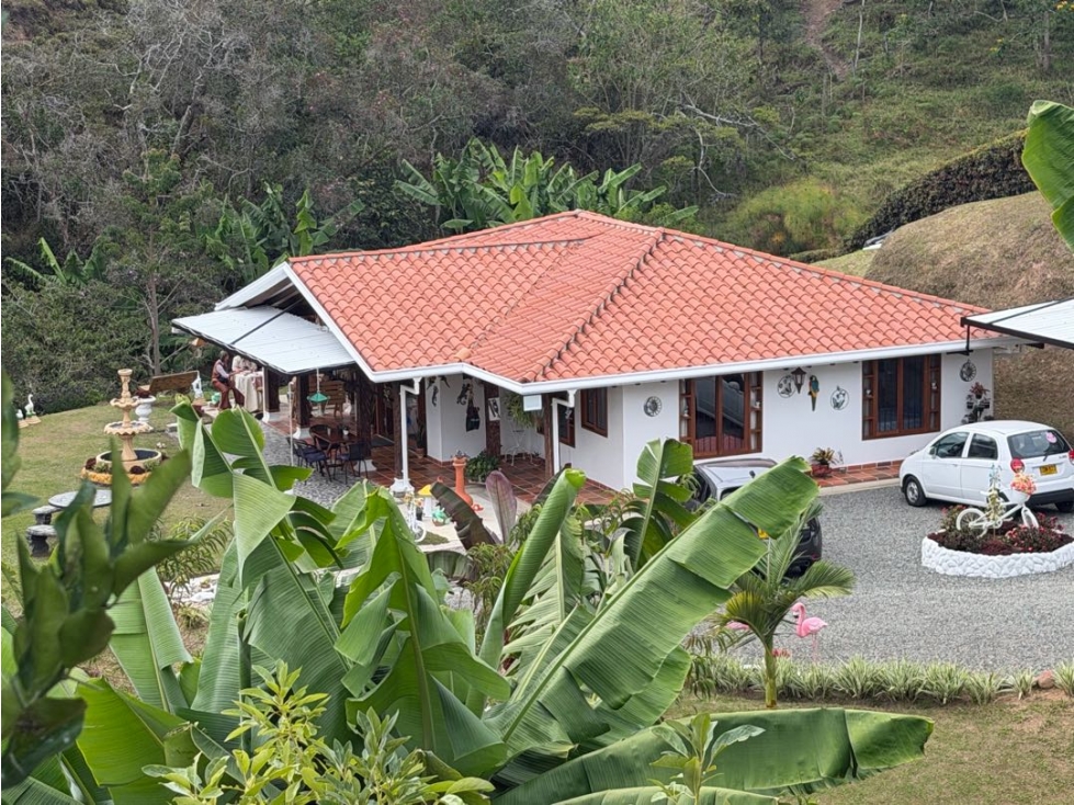 Vendo finca San vicente Ferrer, sector la enea primavera