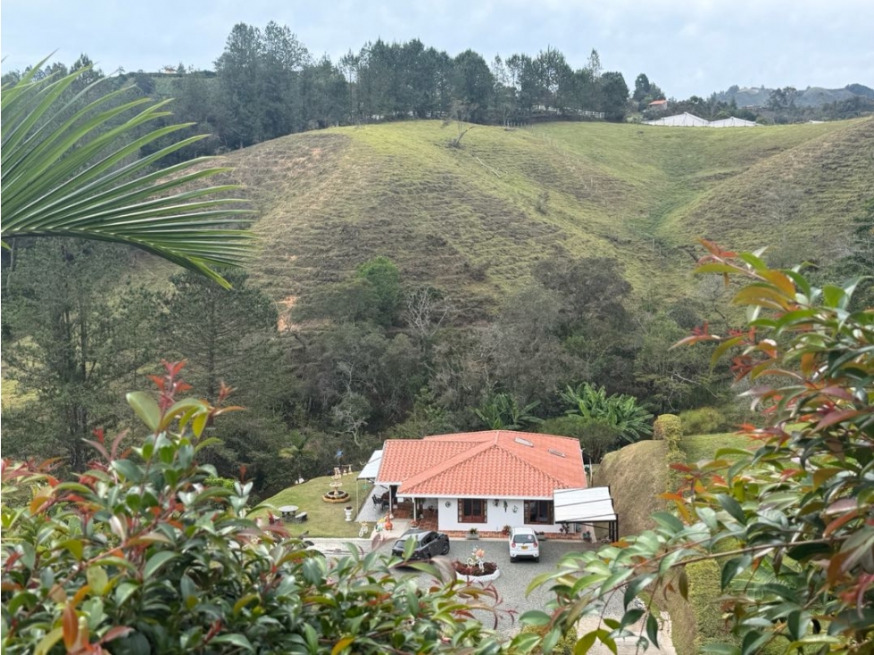 Vendo finca San vicente Ferrer, sector la enea primavera — foto 2