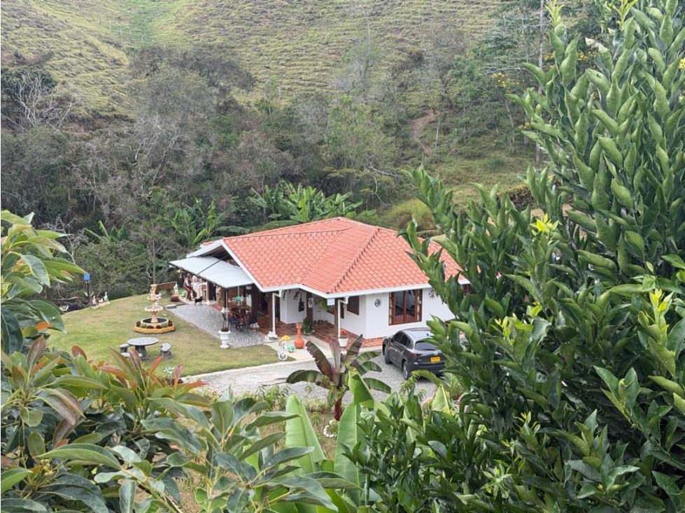 Vendo finca San vicente Ferrer, sector la enea primavera — foto 3
