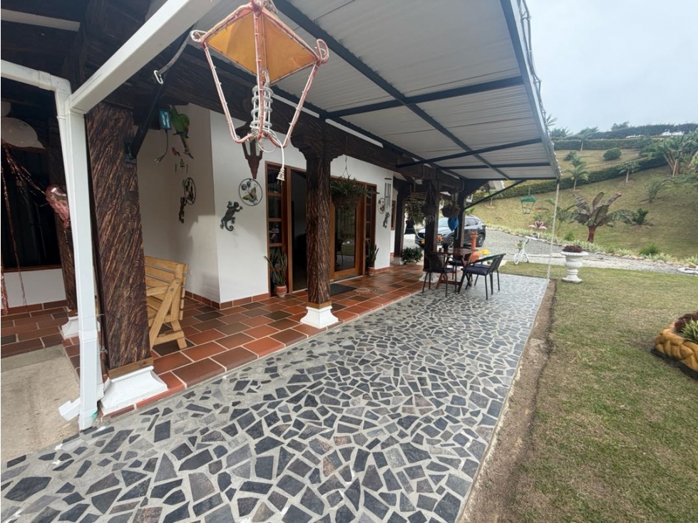 Vendo finca San vicente Ferrer, sector la enea primavera — foto 4