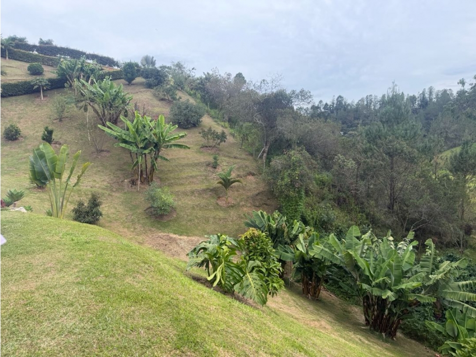 Vendo finca San vicente Ferrer, sector la enea primavera — foto 5