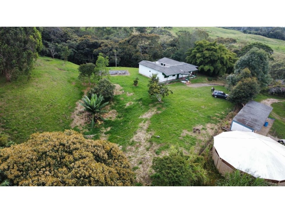 VENDO FINCA SEMI URBANA - LA CEJA ANTIOQUIA