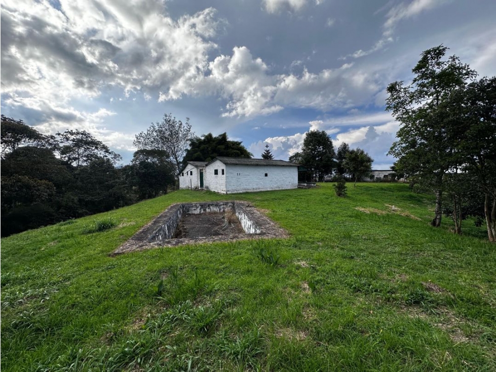 VENDO FINCA SEMI URBANA - LA CEJA ANTIOQUIA — foto 2