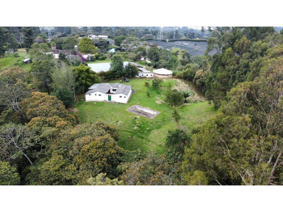 VENDO FINCA SEMI URBANA - LA CEJA ANTIOQUIA — foto 3