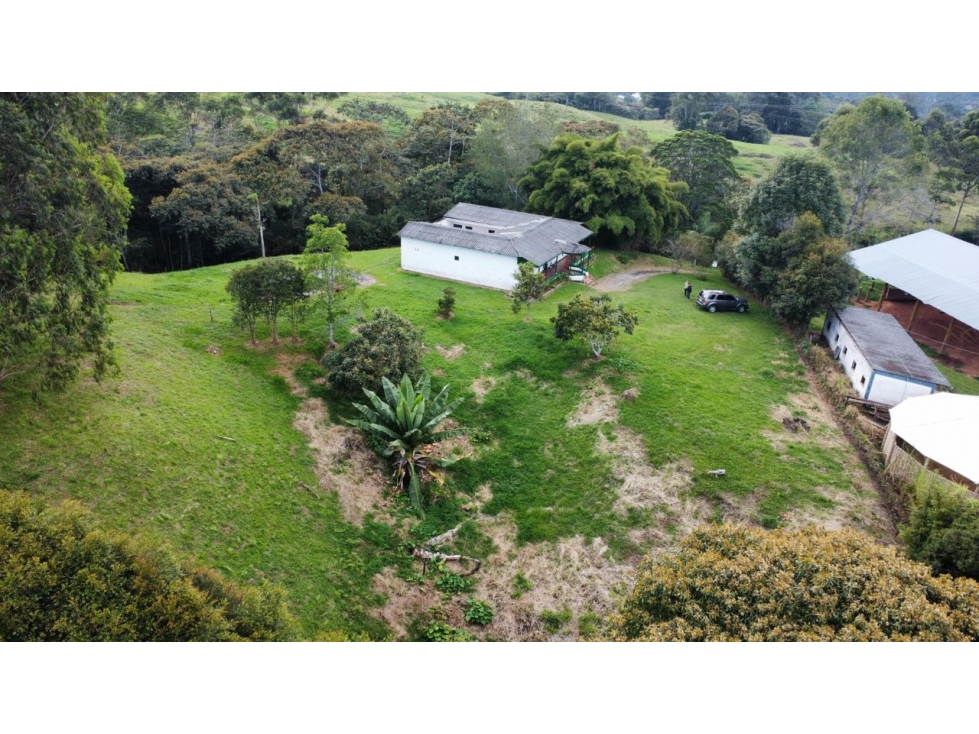 VENDO FINCA SEMI URBANA - LA CEJA ANTIOQUIA — foto 4