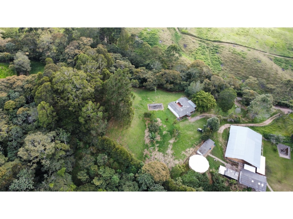 VENDO FINCA SEMI URBANA - LA CEJA ANTIOQUIA — foto 5