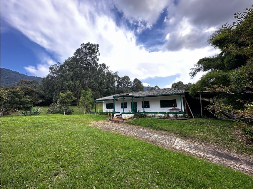 VENDO FINCA SEMI URBANA - LA CEJA ANTIOQUIA — foto 6
