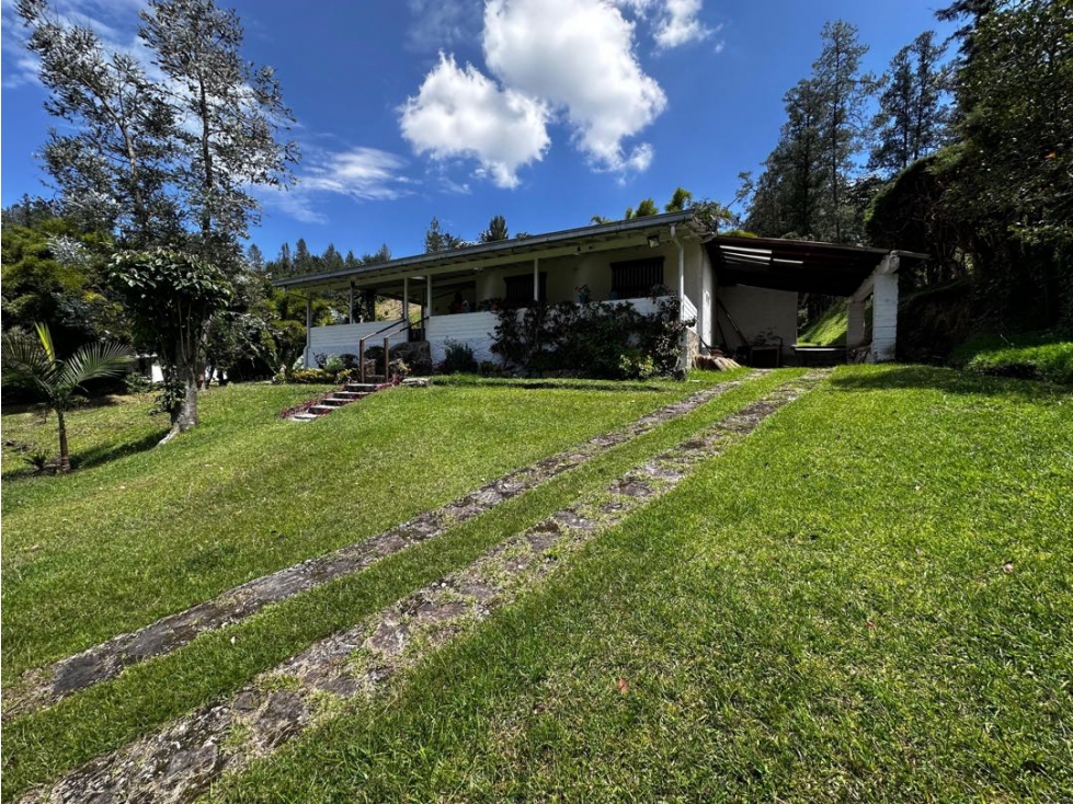 VENDO FINCA SEMI URBANA - LA CEJA ANTIOQUIA — foto 2