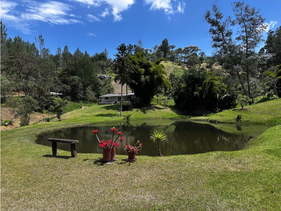 VENDO FINCA SEMI URBANA - LA CEJA ANTIOQUIA — foto 5