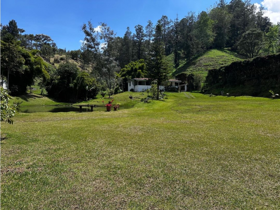 VENDO FINCA SEMI URBANA - LA CEJA ANTIOQUIA — foto 6