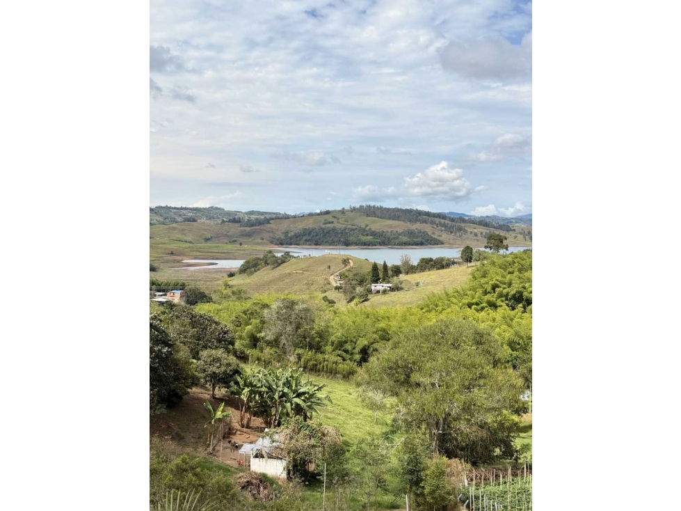 Vendo Finca turística con vista al lago Calima: piscina, jacuzzi.. - 5