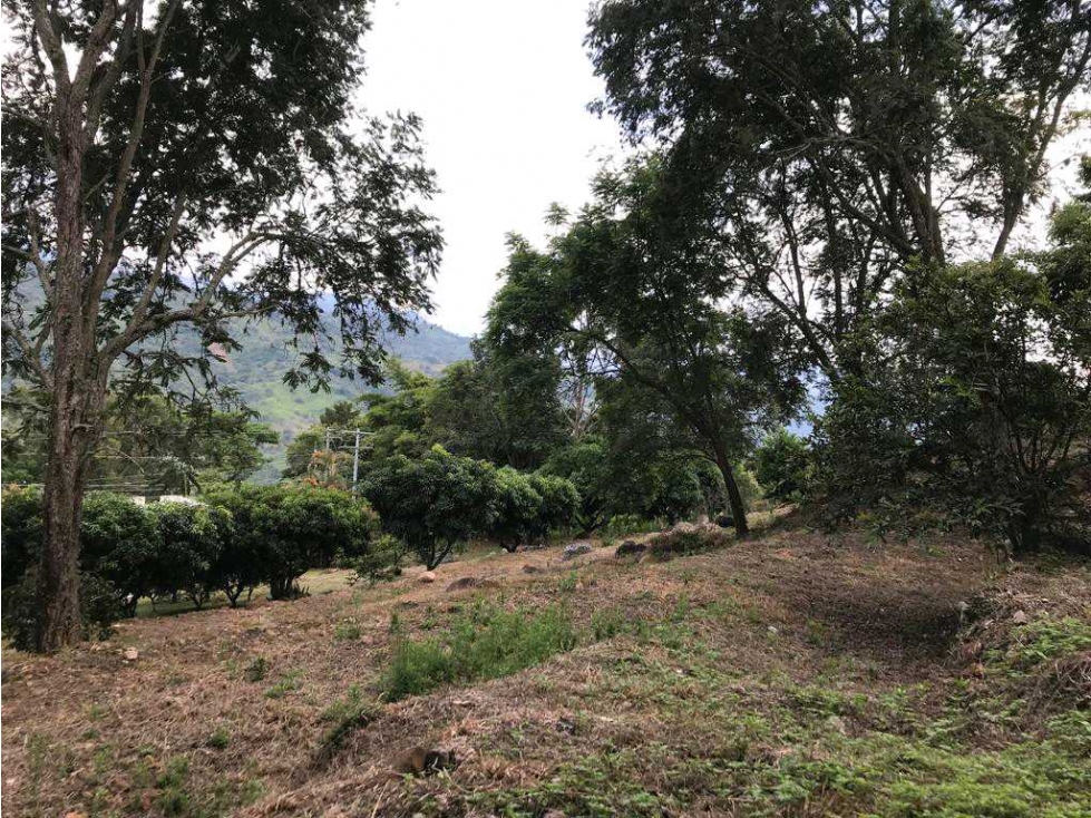 Vendo Finca Vereda San Roque en Arbeláez Cundinamarca - 6